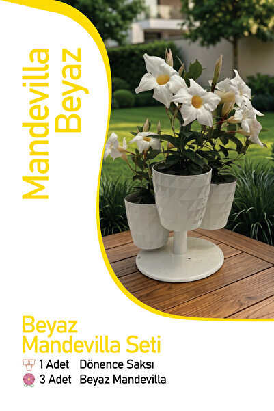 Gardina Dekoratif Saksılı Mandevilla Seti White
