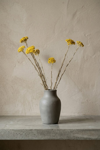 HERBONİ Golden Grass 40g, Immortal Flower, Yellow Immortelle, Helichrysum Arenariumi, 100% Natural & Without Additives