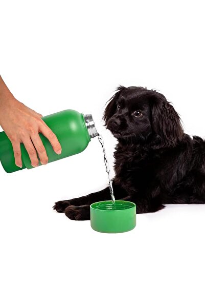 GENERAL Ubbi Pup + Me Water Bottle - Charcoal | Includes Attached Bowl for Wa...