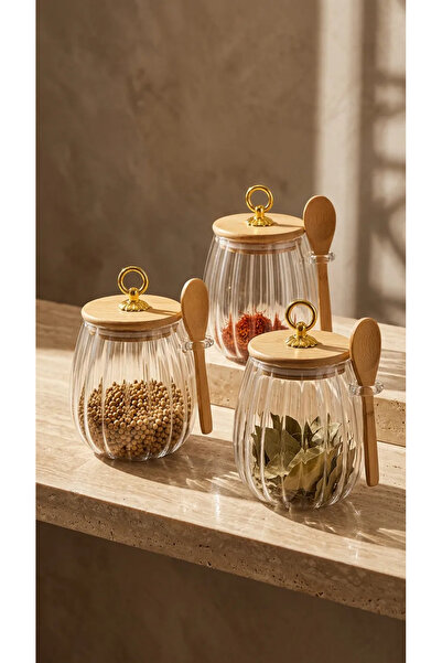 Lumindra 3-Piece Borosilicate Glass Jar Set with Ring Lid and Striped Spoon f...