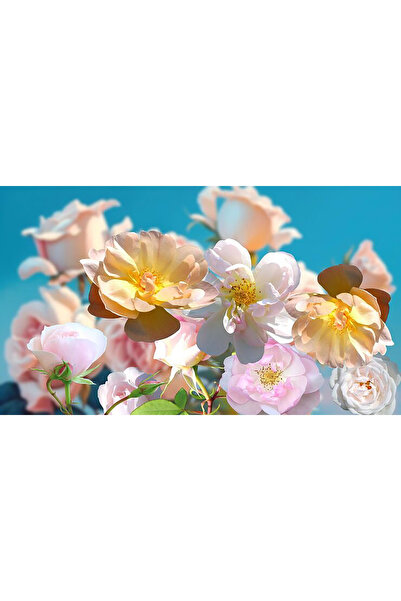 Bloom & Sow Seed بذور ورد فلوريبوندا بألوان الباستيل المختلطة - ورود متعددة ا...