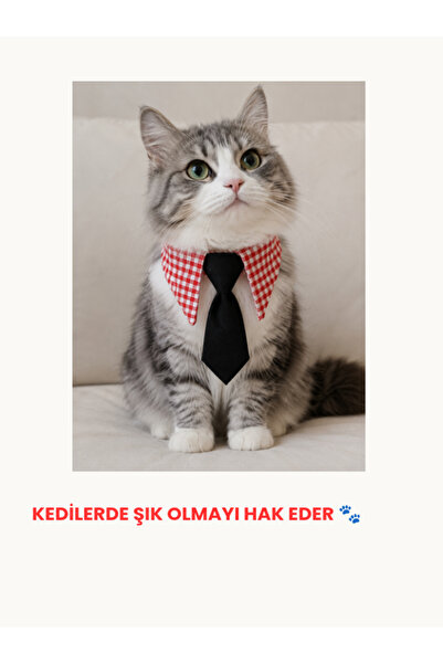 Generic Brand Cat Collar Neck Accessory (Red Check)