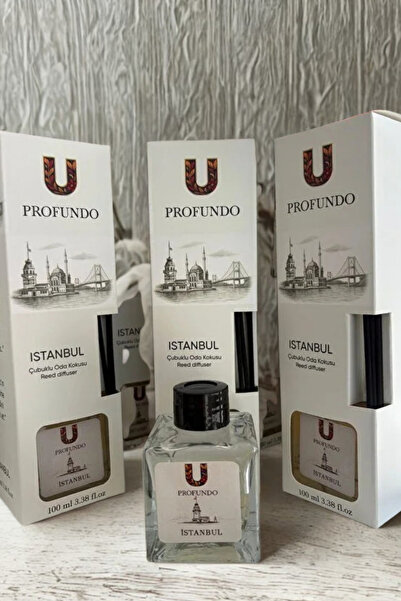 e-Bizz Store İstanbul Bambu Çubuklu Oda Kokusu 100 ml | İstanbul & Bahar Ferahlığı - Temiz Hava Esintisi
