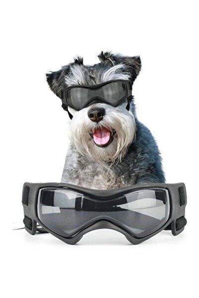 STARSTAR Dog sunglasses - UV protection - Anti-fog - Adjustable - Black