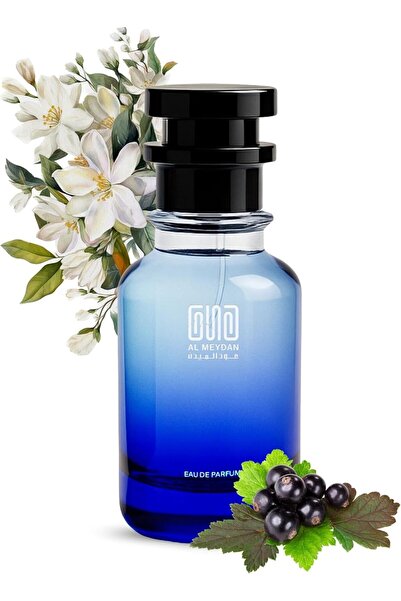 OUD AL MEYDAN Oil Based Perfume for Women – Long Lasting La Vee Est Bele Insp...