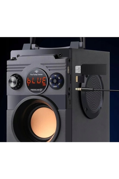 Feegar Boxă portabilă Bluetooth Showjet, microfon karaoke, mufă jack 3.5mm AUX