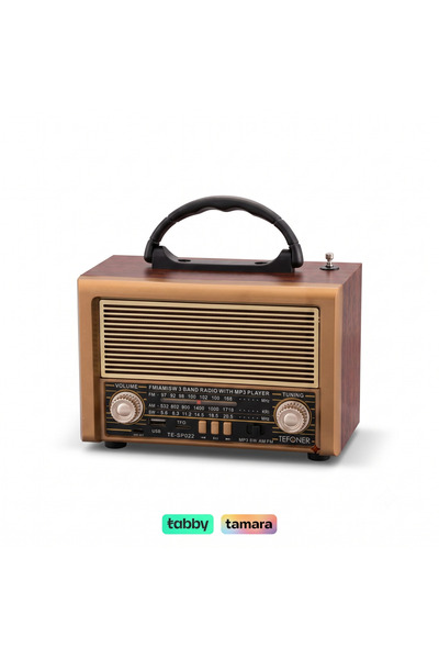 TEFONER راديو TE-SP022 محمول بتصميم كلاسيكي يدعم AM/FM/SW مع مشغل MP3 ومنفذ U...
