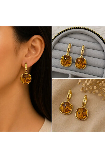 Bozhi Earrings Steel Sparkling Style