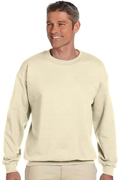 HANES mens Men's Ecosmart Fleece Sweatshirt Hooded Sweatshirt (pack of 1)