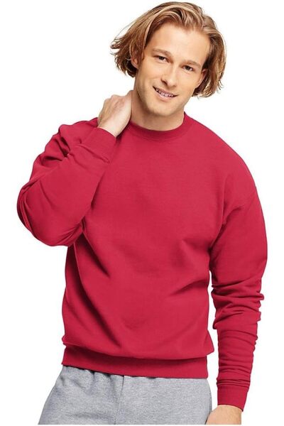 HANES Men's Ecosmart Fleece Sweatshirt, Cotton-blend Pullover, Crewneck Sweat...