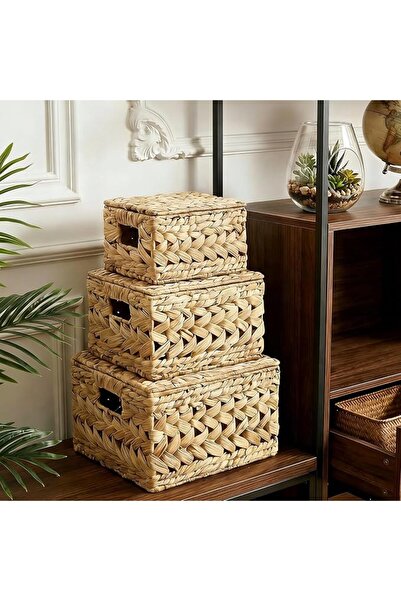 HOMODOSKEY 3 Pack Wicker Storage Baskets with Lids, Hand Woven Rattan Lidded ...