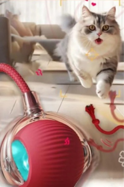 i-pets ŞARJLI KEDİ TOPU IŞIKLI HAREKETLİ 3 MODLU KEDİ OYUNCAĞI C02