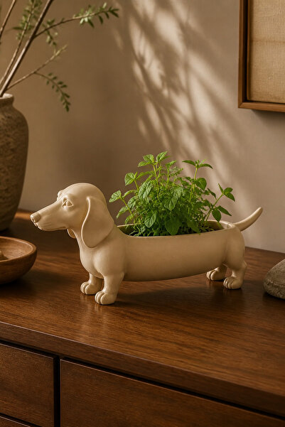 Dekoratif kase-saksı köpek figürlü