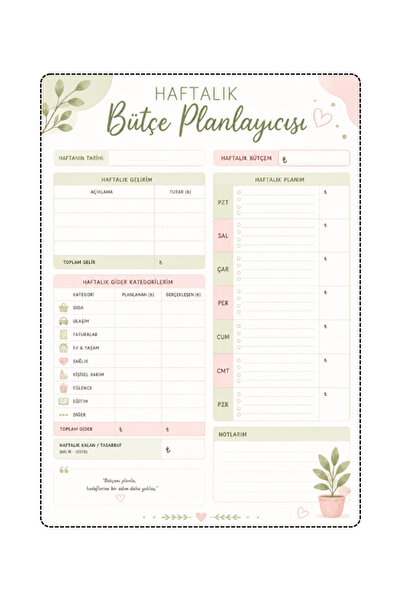 Pembe Yayınevi Bütçe Planlayıcısı - Bütçe Ajandası - Bütçe Takip Çizelgesi