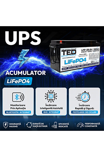 TED Electric Pachet UPS 2000VA/1400W Runtime Extins cu Acumulator Extern LiFePO4 24V 100Ah, până la 6.000 de Cicluri, BMS Inteligent, Monitorizare Bluetooth, Undă Sinusoidală Pură și 2 Prize Schuko