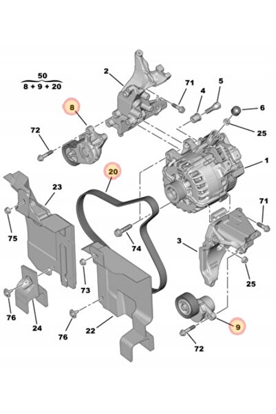 NO BRAND SET ÎNTINZĂTOR CUREA CITROEN PEUGEOT 1.6HDI OE