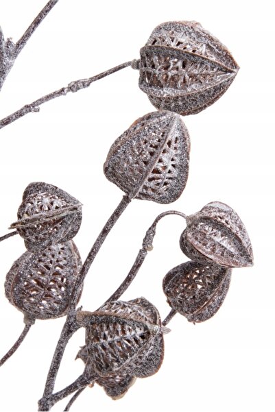 NO BRAND RAMURĂ DE PHYTORHIZUM BROKACONA DECORATIVĂ BROKACONA PLANTĂ ARTIFICIALĂ