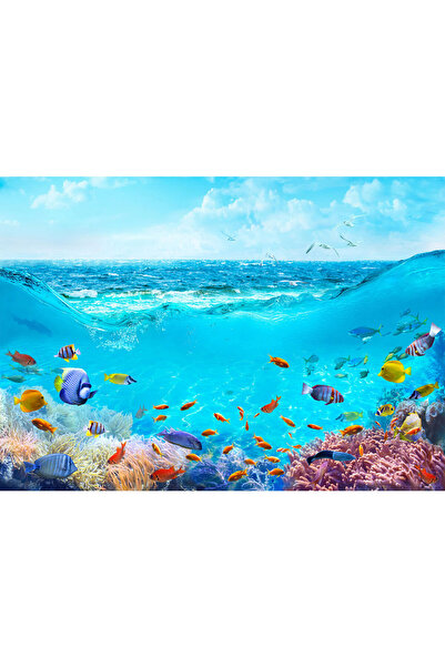 VIODESIGN Fototapet Copii, autoadeziv, Pesti Ocean, multicolor,200x300 cm CO365