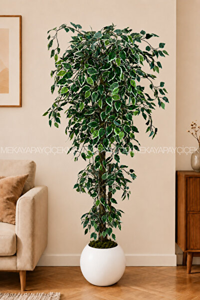 Meka Yapay Çiçek Benjamin Yapay Ağaç (Starlight) 170 Cm Küre Saksı