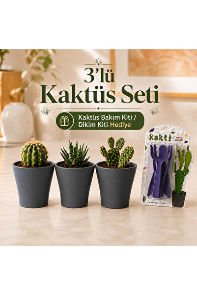 Poliwork 3'lü Mini Saksı Seti Kaktüs Saksısı Sukulent Saksısı Kaktüs Bakım Ki...