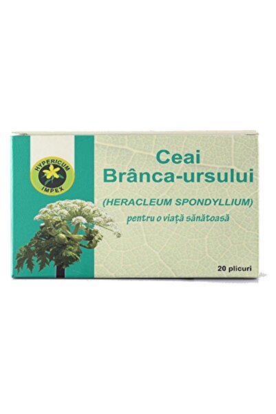 Hypericum Plant Ceai branca ursului 20 plicuri