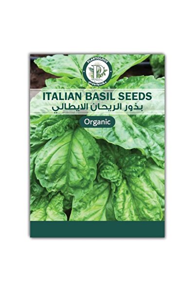 Generic Plantology Lab Basil Seeds for Planting - Italian Basil Leaves Large ...