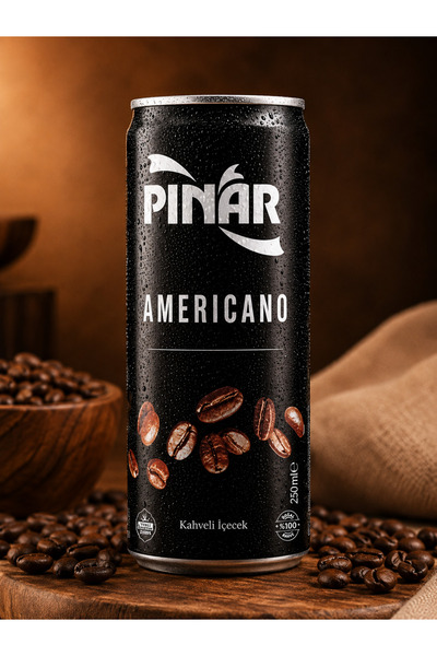 Pınar AMERİCANO SOĞUK KAHVE 250 ML 12 Lİ