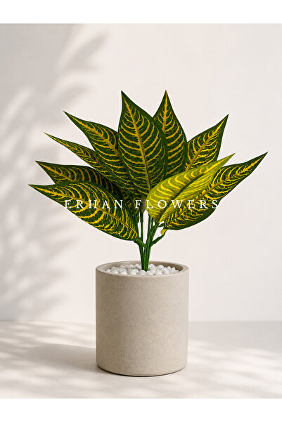 ERHAN FLOWERS YAPAY ÇİZGİLİ CROTON CALATHEA 48 CM - DEKORATİF VAZO İÇİ ISLAK ...