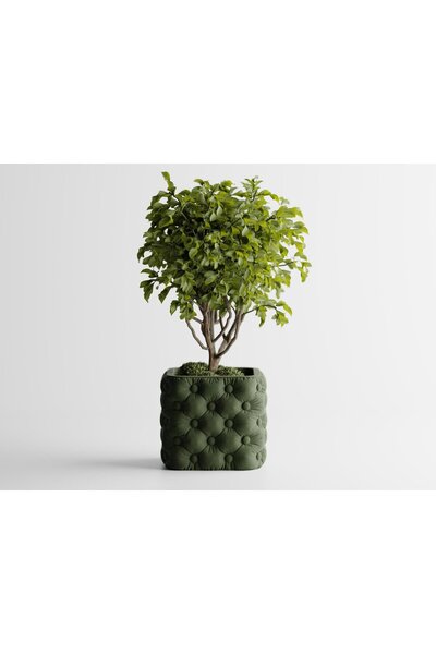 Sani Vază „Chesterra MICĂ” 110 x110 x Î95 mm - Verde închis mat