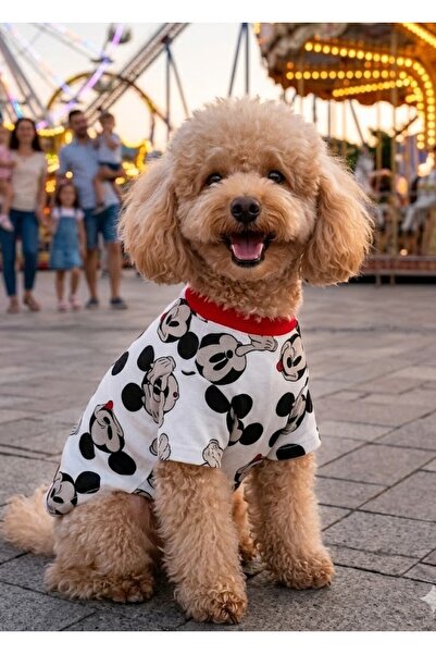 Peti Tailor Köpek Tişörtü Kollu Mickey Mouse Kırmızı Detaylı Kedi Kıyafeti