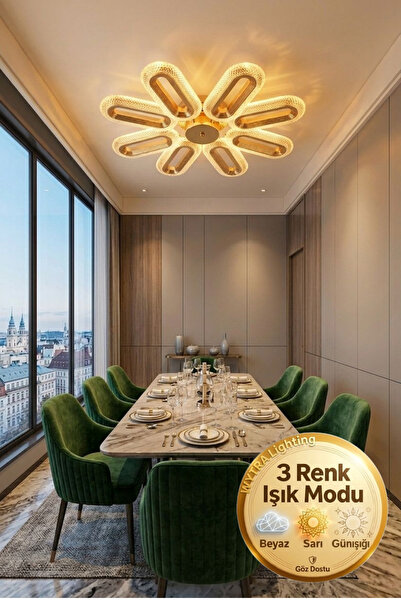 Lüxev Lighting Elips Model 8'li Gold 3 Renk Modu Ledli Tavana sıfır Salon Mut...