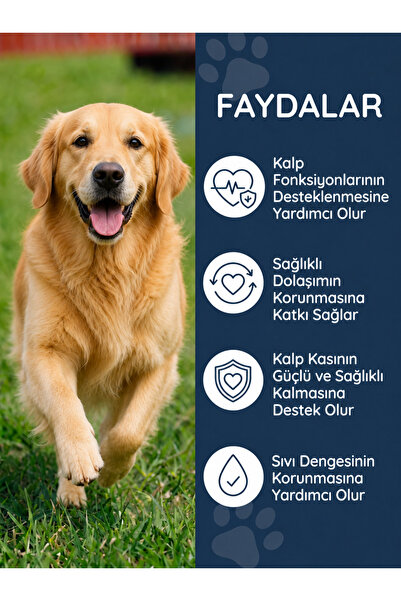 Dr. Nature's Köpek Kalp Desteği 75 Tablet Cardiac Vitamin, Taurin ve L-Carnitine İçeren Günlük Destek