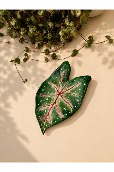 Bohem El Yapımı Caladium Duvar Süsü 15.5 x 9 cm