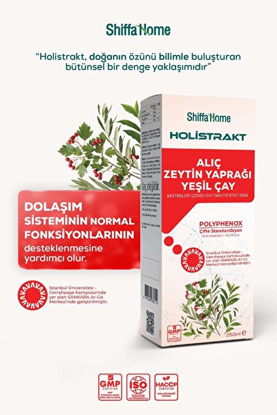 Shiffa Home HOLİSTRAKT - Alıç, Zeytinyaprağı ve Yeşilçay İçeren Sıvı Ekstrakt...