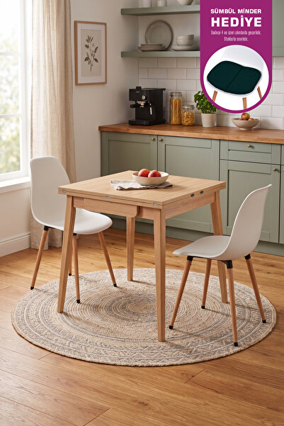VİLİNZE Eames Sandalye Avanos Kanatlu Ahşap Mutfak Masası Takımı - 70x70+70 Cm