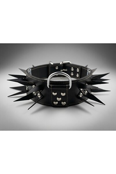 Brs 7 cm Leather Collar with 6 Torques