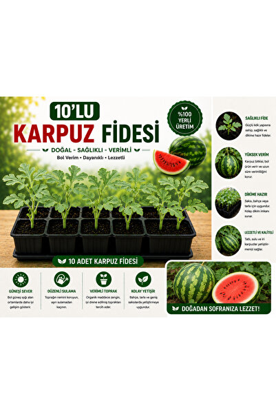 Mera Çiçekçilik Karpuz Fidesi 10 Adet