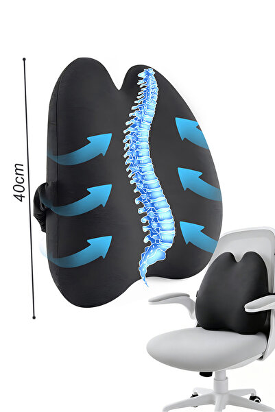 Generic Memory Foam Lumbar Support Pillow, Chair Pillow with Adjustable Strap...
