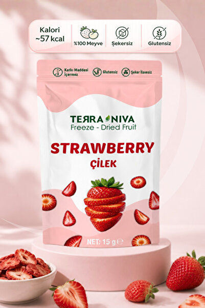 Terra Niva Çilek Kuru Meyve Cipsi - Dondurularak Kurutulmuş Freeze Dried Çıtı...
