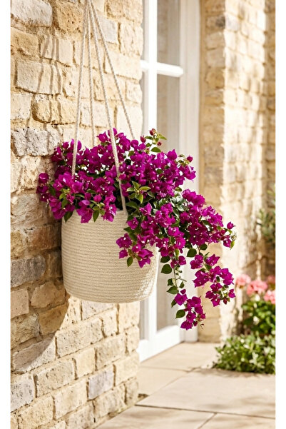 ÖRGÜM Sepet Dekoratif Çiçeklik 15x15 Cm BİTKİ DAHİL DEĞİLDİR