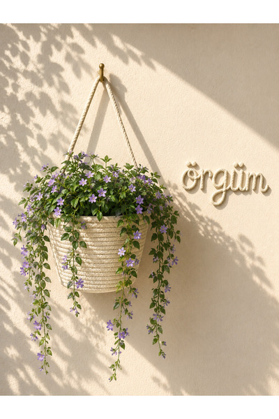 ÖRGÜM Saksılık Dekoratif Çiçeklik Organizer Duvar Sepeti 15x15 cm BİTKİ DAHİL...