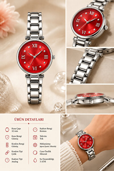 Reddington Women's Steel Case Steel Band Roman Numeral Colorful Dial Wristwatch