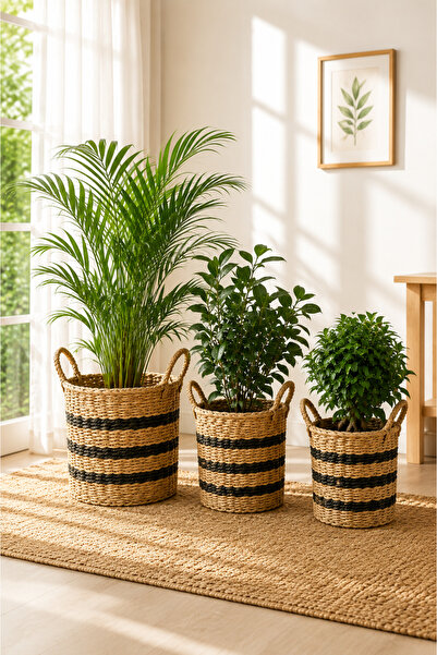 KaiHome 3'L Wicker Seagrass Sturdy Basket/Plant Pot/Organizer with Handles
