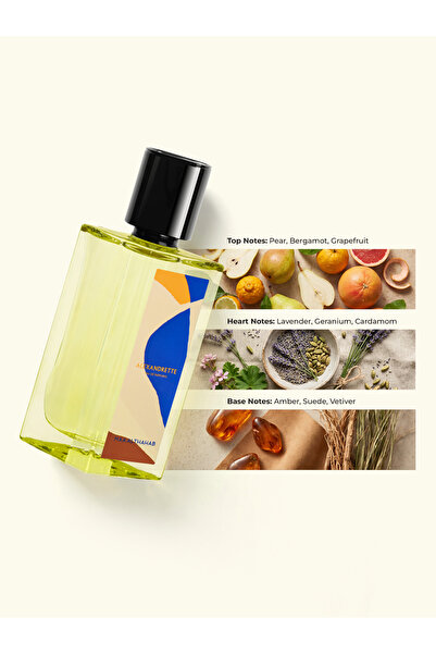 Maa Althahab Alexandrette EDP Long Lasting and Sophisticated Masculine Scent ...