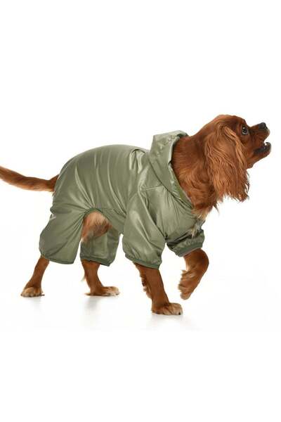 Petza Small and Medium Breed Dog Long Coat Hurit Green