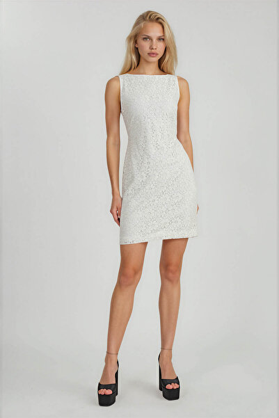 Vitrin Lace Zero Sleeve Lined Dress