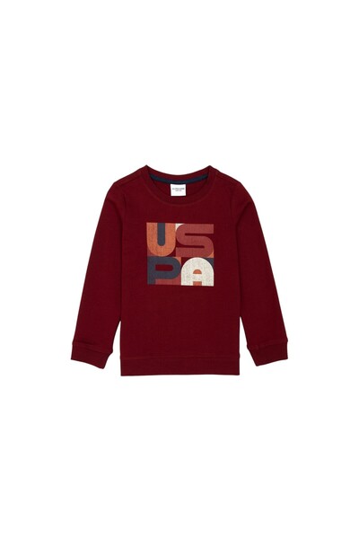 U.S. Polo Assn. Men's Sweatshirt Sembakids