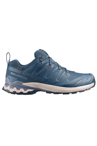 Salomon Xa Pro 3D V9 Gtx Men's Outdoor Shoes Purple