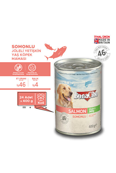 BonaCibo Jöleli Somonlu Yaş Köpek Maması, 400 Gr x 24 Adet