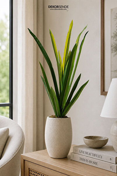 Dekorsende Yapay Dracena Demeti Büyük